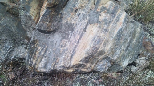 Гигантские зелёные валуны для ландшафтного дизайна весом более 5 тонн купить в Жуковском